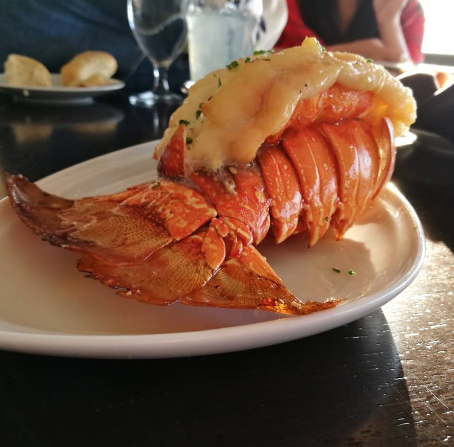 hyattindy's tweet photo. Now this is a lobster tail! #EaglesNestIndy
📷: @bgbtyma on instagram https://t.co/TJo6wyg2j2