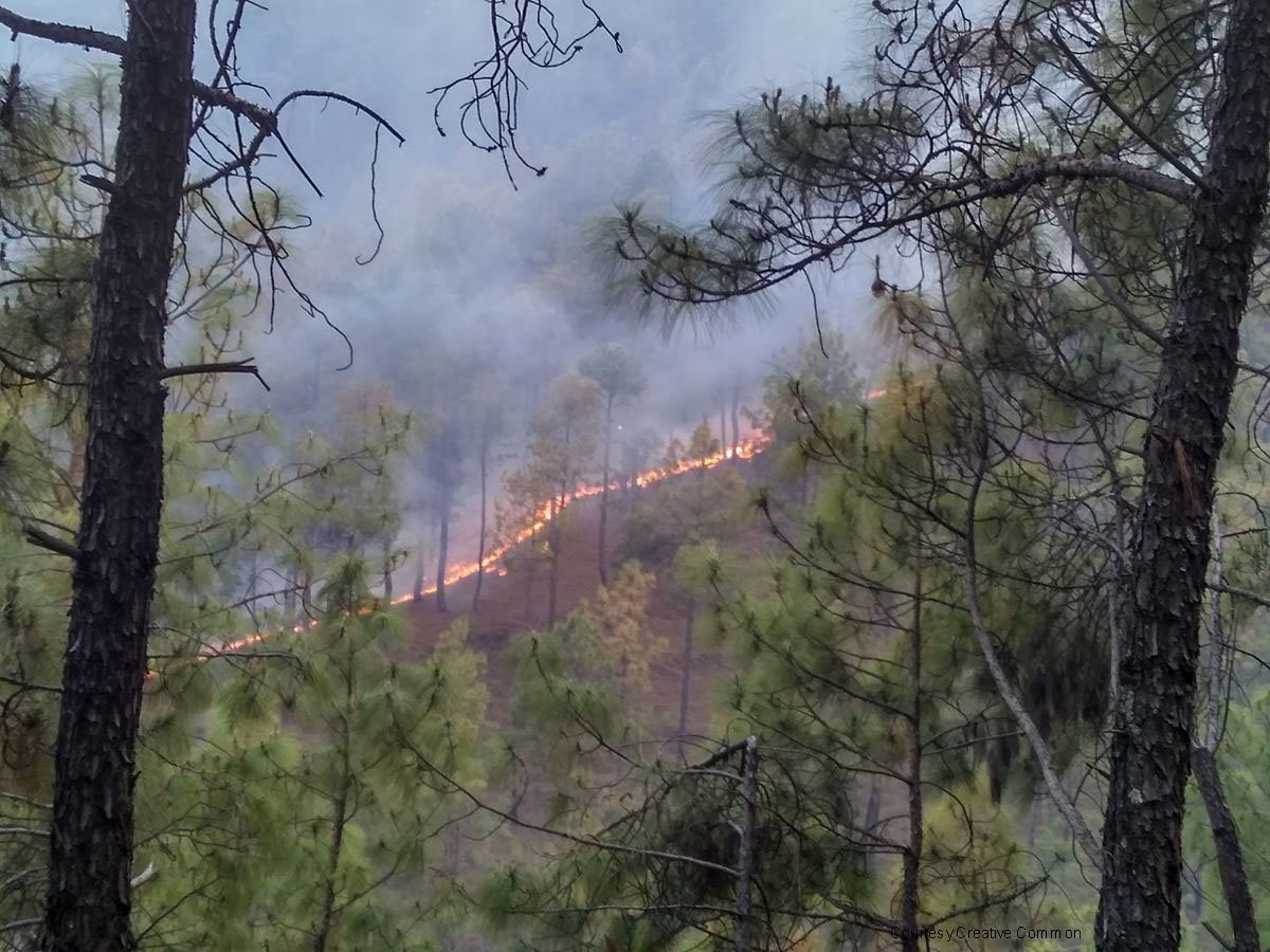 More Wildfire Evacuees On Their Way dlvr.it/PjklYM https://t.co/Wcv3WVHWPQ