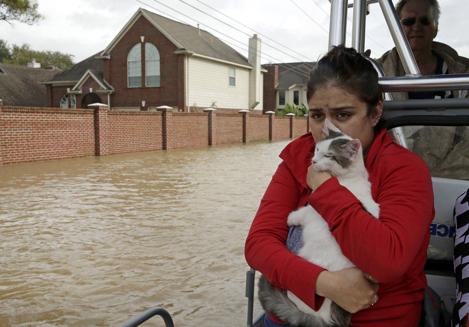CityLab's tweet photo. The flood we saw coming, and couldn't prepare for https://t.co/UuLRc4PjvY https://t.co/aBP4s3zkW7