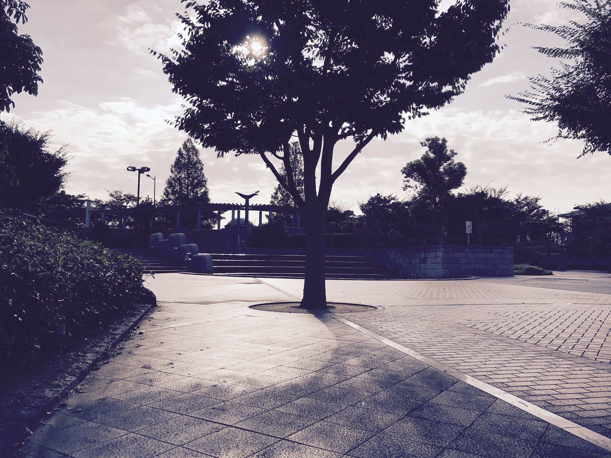 hideX17's tweet photo. 病み上がりの公園に来ました！

ひとりで、 https://t.co/SmSpGUCvOY