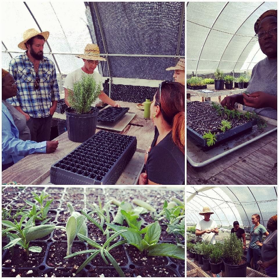 A huge thanks to Gabriel Valley Farms for hosting #farmerstarter students for a  #propagation #workshop today! #farmshareATX