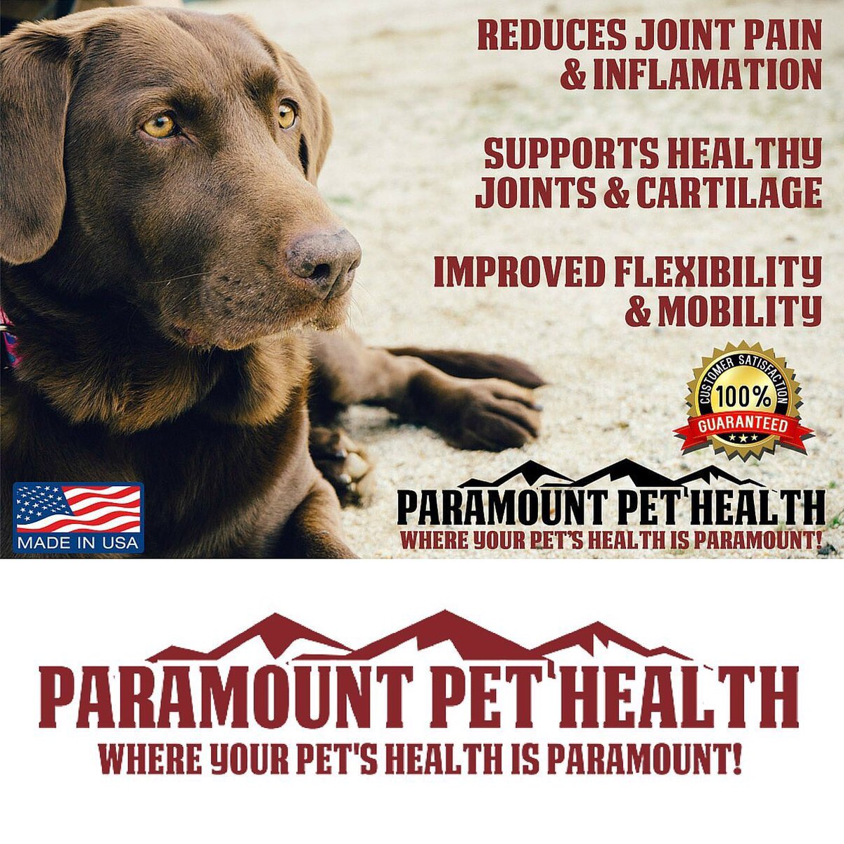 SymVitamin's tweet image. Paramount Pet Health, All Natural Hip and Joint Supplement For Dogs - 32 oz  pickvitamin.com/paramount-pet-…