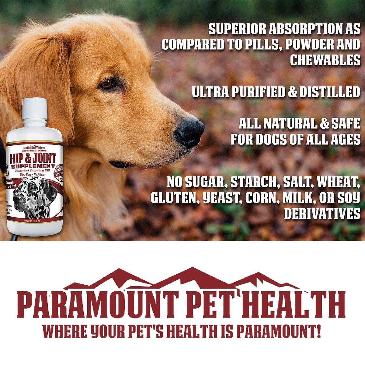 SymVitamin's tweet image. Paramount Pet Health, All Natural Hip and Joint Supplement For Dogs - 32 oz  pickvitamin.com/paramount-pet-…