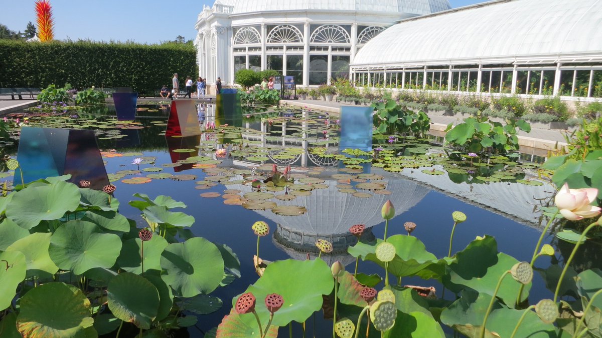 Yasu Shibata On Twitter Conservatory At Ny Botanical Garden