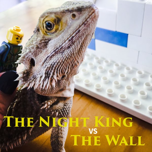 Mrs. Peanuts as Viserion #GOT #MrsPeanuts #GameOfThrones #got7