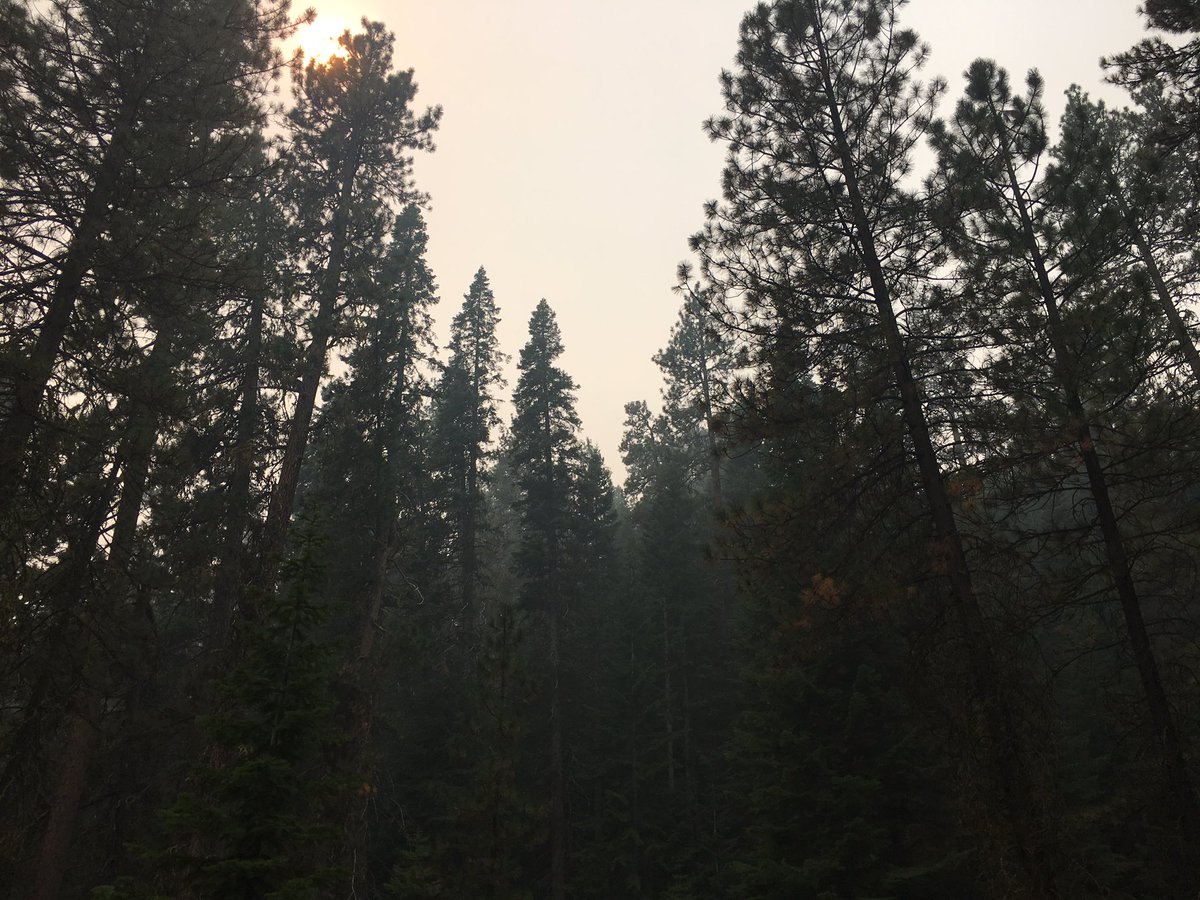 NoahGoldman3's tweet photo. @AJGAGolf round cancelled due to smoke today, but didn't let that stop me from taking a bike ride with no destination #NoFilter #ExploreOR https://t.co/yEUyiFb4gd