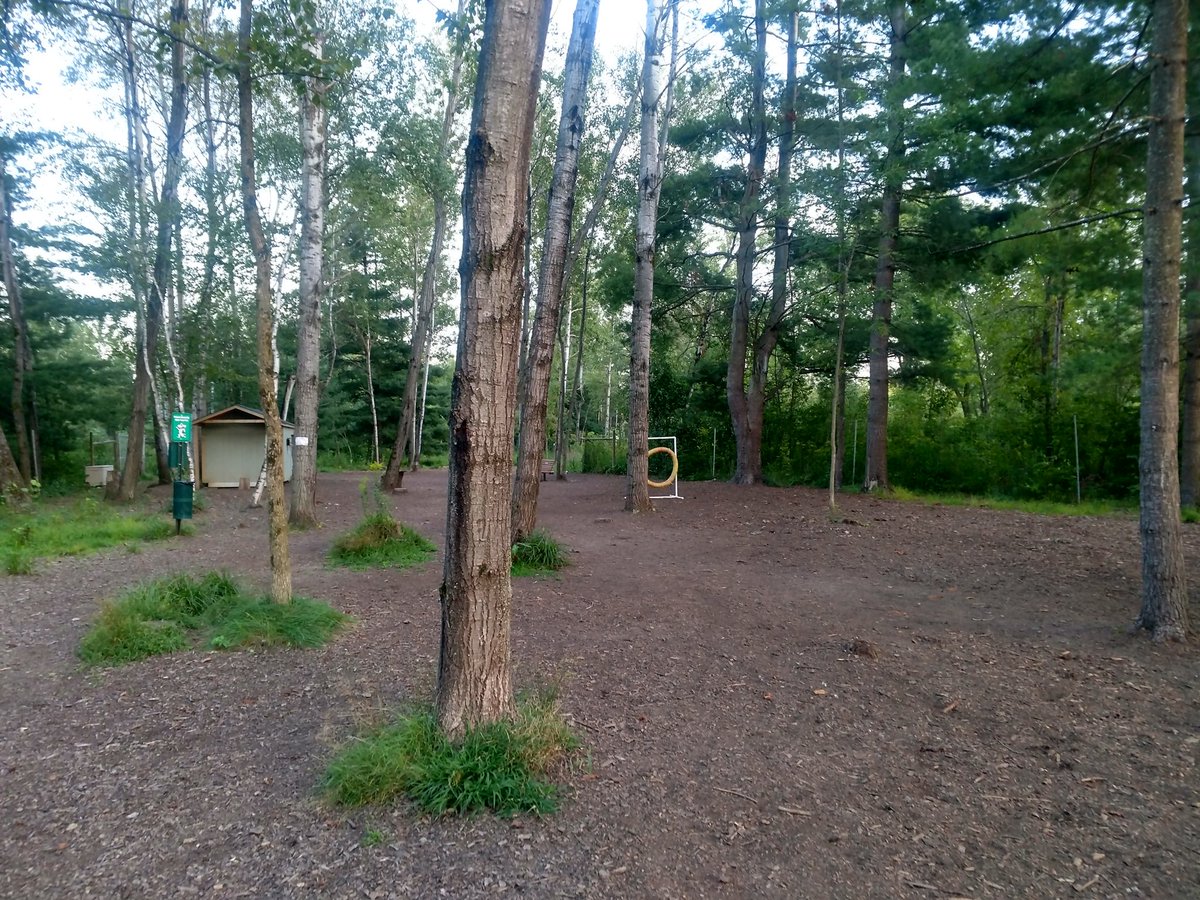 VTdogs's tweet photo. Turkey tail mushrooms: funky fungi @ Shelburne dog park.
1st time here; neat fenced park in the woods.
Had park to ourselves as the sun set. https://t.co/ufwgS4beeS