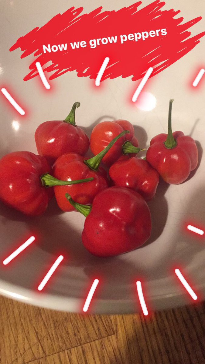 annafikhman's tweet photo. I'm a farmer. It's official. https://t.co/8rAv18zaee