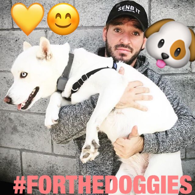kehoeheart's tweet photo. #FORTHEDOGGIES #FORHOUSON @EltonCastee bless is kind heart https://t.co/vLjVI0HTjh