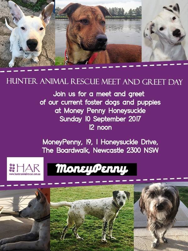 hunteranimals tweet picture