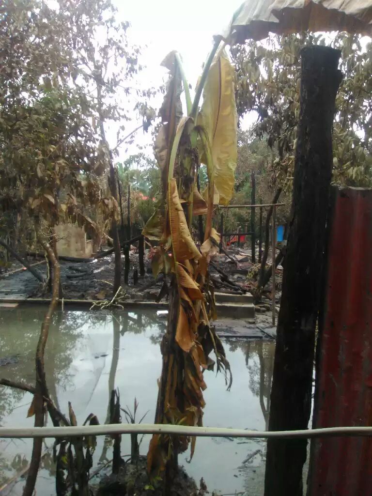 askreport's tweet photo. 31th Aug 1000 of Building & houses burnt down by #MyanmarArmy in #Maungdaw Tsp #Askreport from Burma @OIC_OCI @UN @hrw @UNHumanRights https://t.co/oErFzpyp66