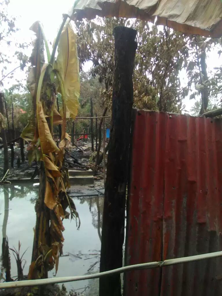 askreport's tweet photo. 31th Aug 1000 of Building & houses burnt down by #MyanmarArmy in #Maungdaw Tsp #Askreport from Burma @OIC_OCI @UN @hrw @UNHumanRights https://t.co/oErFzpyp66