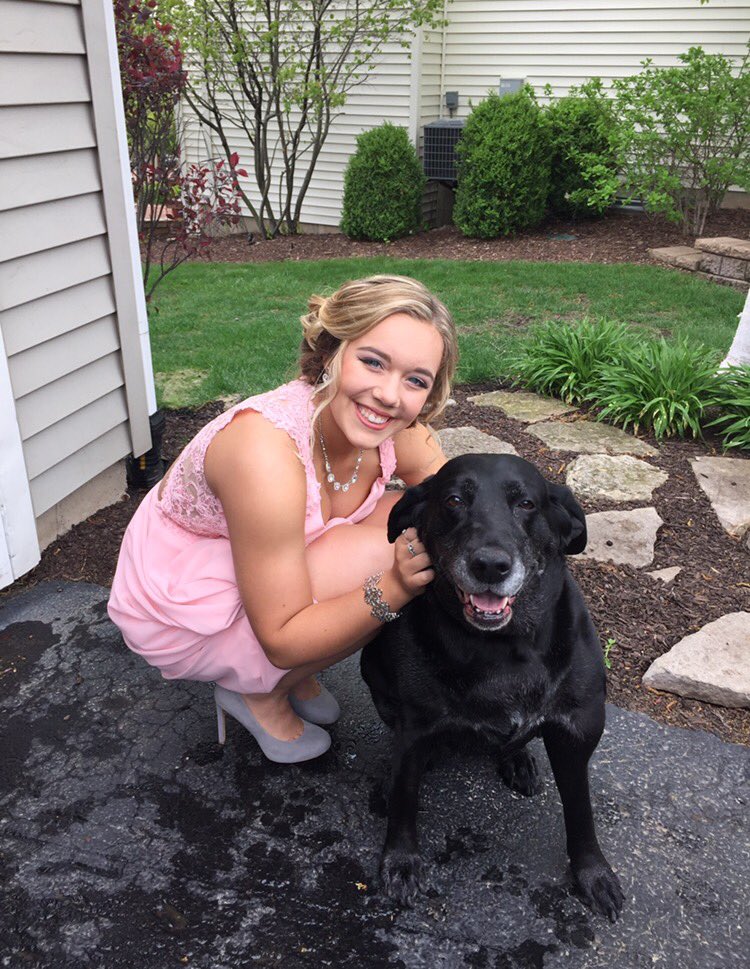 taylorpavia's tweet photo. rest in peace baby girl. i'll always love and miss you.💜 https://t.co/ykxqN6Dsab