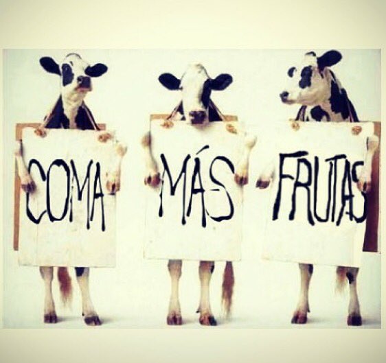 vida_sinlactosa's tweet photo. #vidasinlactosa #MundoV #Vegan https://t.co/jaKFX6nMe8