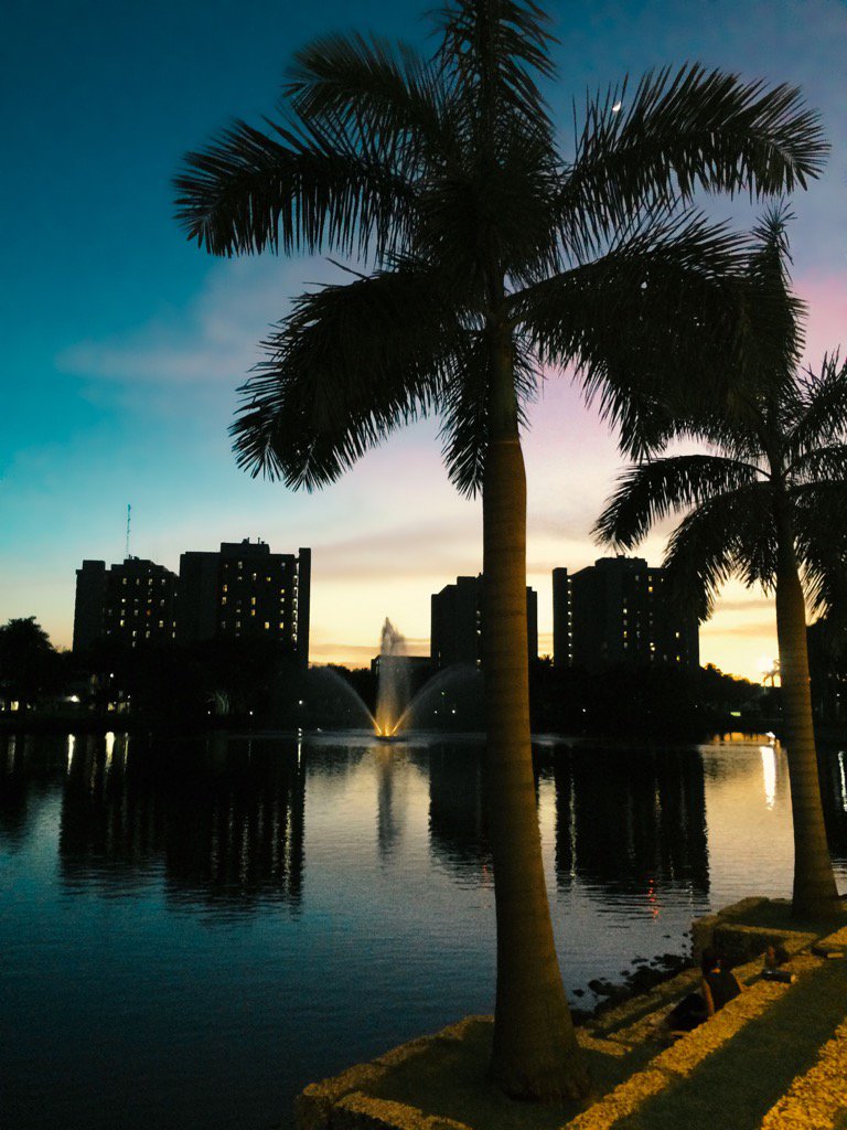 DistractionUM's tweet photo. the distraction team welcomes U home to our beautiful campus 🌴 || #GetDistracted https://t.co/v1iql0Ed9N