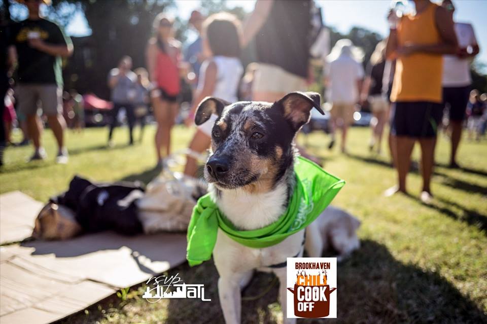 AtlChiliCookOff's tweet photo. Looking for a Pet-Friendly event the whole family will enjoy? Get your #AtlantaChiliCookoff tix today: https://t.co/pmOdQbU3dW #petfriendly https://t.co/fUAtRLVChy