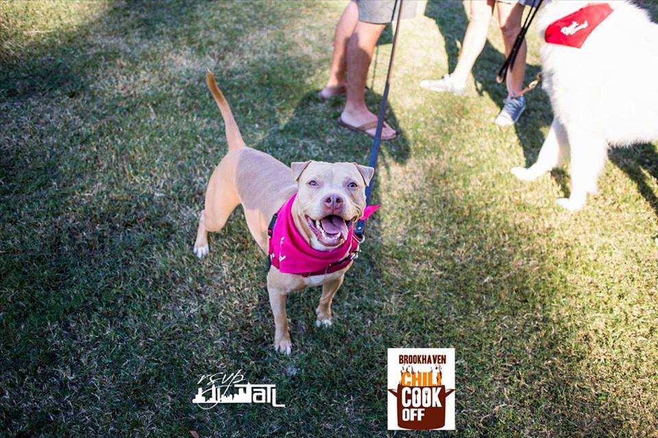 AtlChiliCookOff's tweet photo. Looking for a Pet-Friendly event the whole family will enjoy? Get your #AtlantaChiliCookoff tix today: https://t.co/pmOdQbU3dW #petfriendly https://t.co/fUAtRLVChy