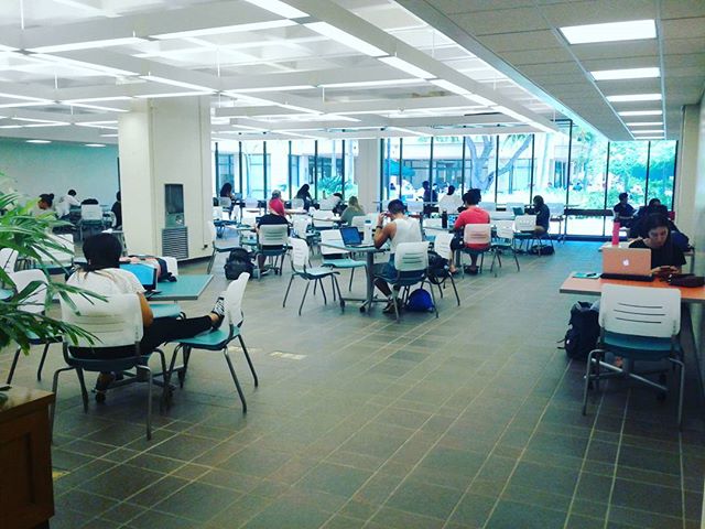 UHMLibrary's tweet image. Check out our brand new furniture in the Sunny Alcove! #windowbar #sunnystudy