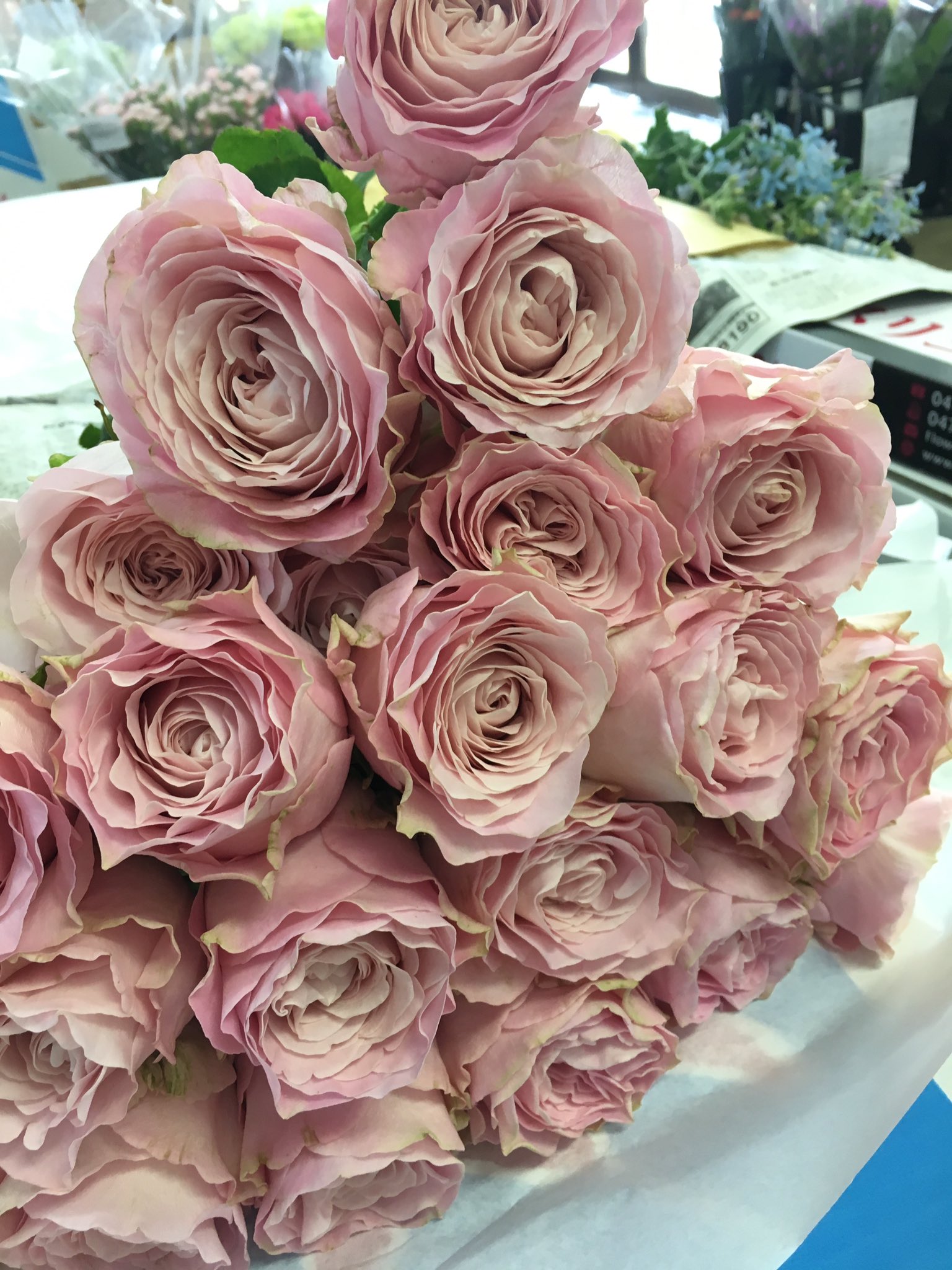 メルシーフローラ 最近来た薔薇 オール4ブーケ ヤギグリーン オール4シリーズ ヤギシリーズ T Co Cxxsllrwuv Twitter