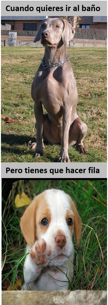 vianeyvm96's tweet photo. #elbaño https://t.co/u6D4rqU0C8