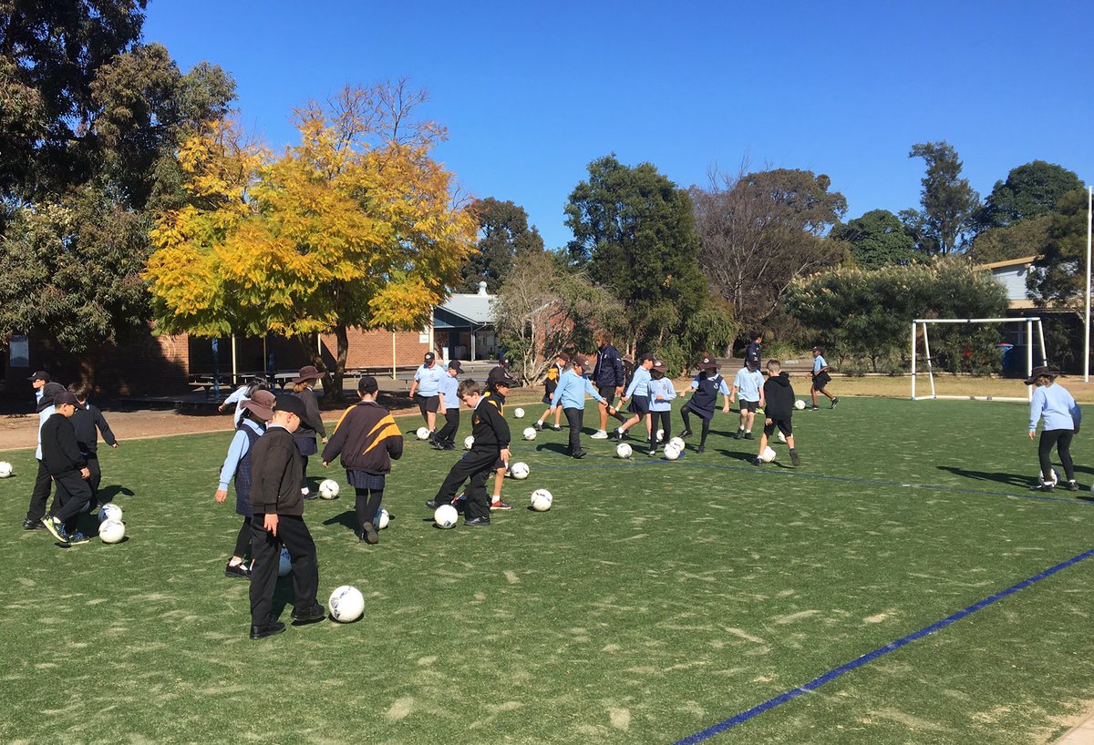 PaulReid79's tweet photo. Yesterday the @SydneyFC @SportingSchools program &amp; @ALeague trophies were at Revesby South PS in @BankstownFA Where today? #SydneyIsSkyBlue https://t.co/8wZJJUSxPu