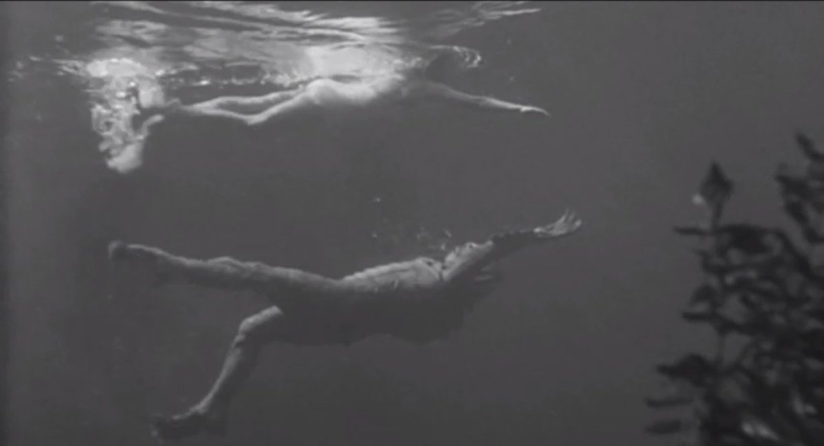 Scream_Shots's tweet photo. Creature from the Black Lagoon (1954) the monster lurks beneath as Kay's shadow, or perhaps her reflection #horror #screenshot https://t.co/309qqZABk0