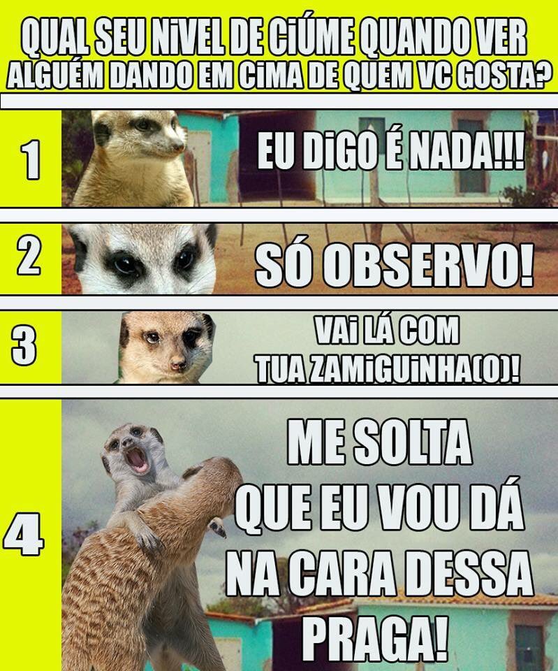 ribeiroterceiro's tweet photo. É ciumento(a)? https://t.co/NtEof67HPE