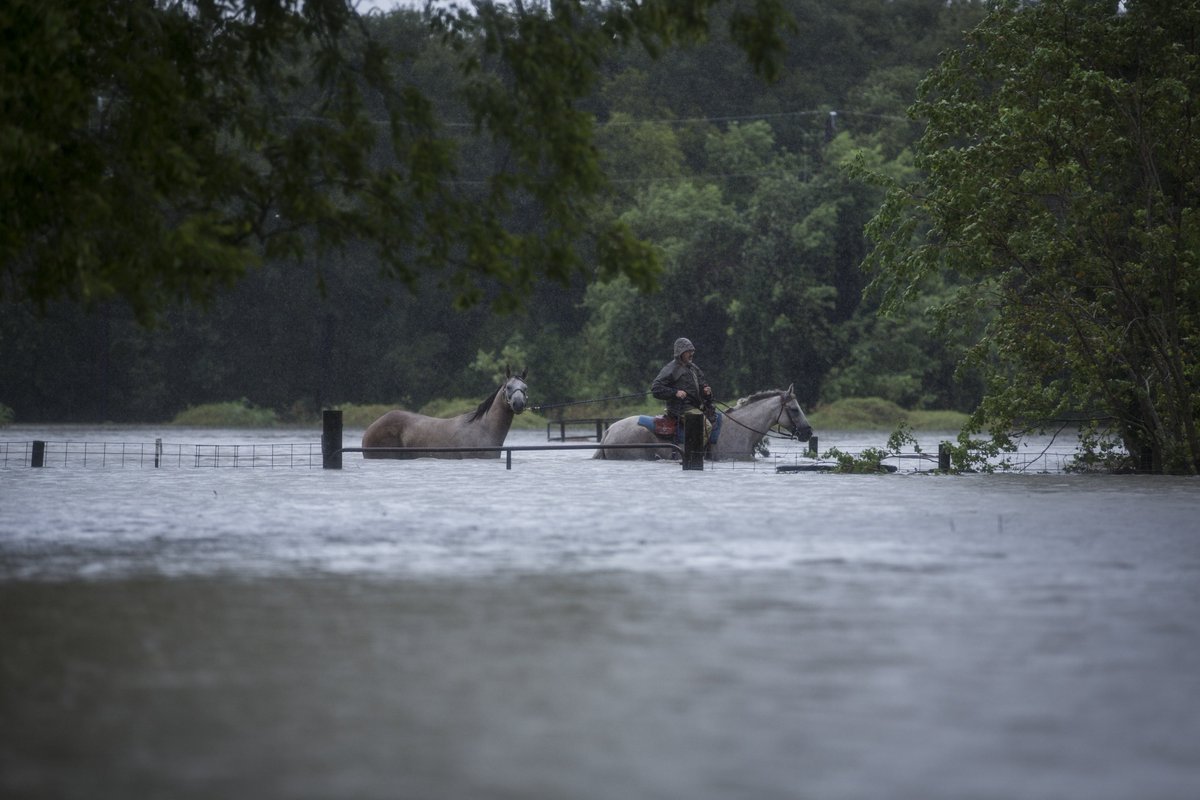 Austin Statesman tweet media