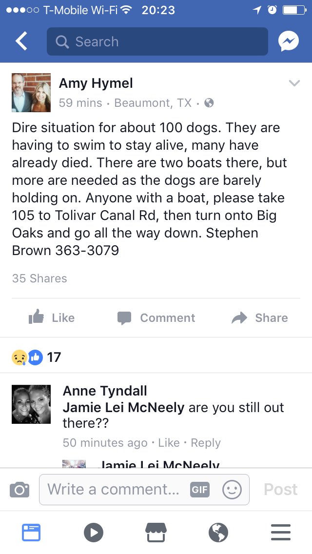 🚨 urgent 🚨 @roguebarkeep <a href="/AltNoods/">Alt Noods</a> #harveypets #Harveypetrescue #harveysos #HoustonSOS <a href="/austinpetsalive/">Austin Pets Alive!</a>