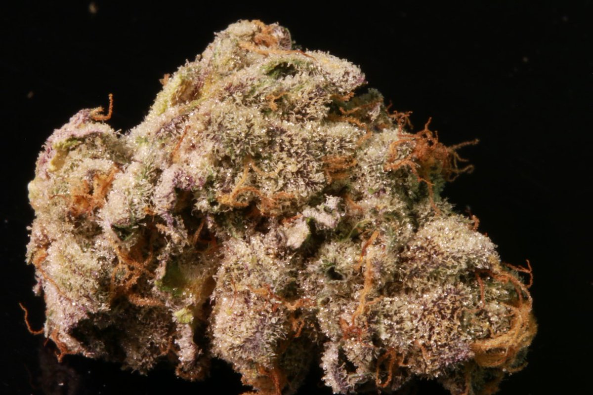 This #sherbert is lookin' #greasy 🔥🔥🔥😍🤤