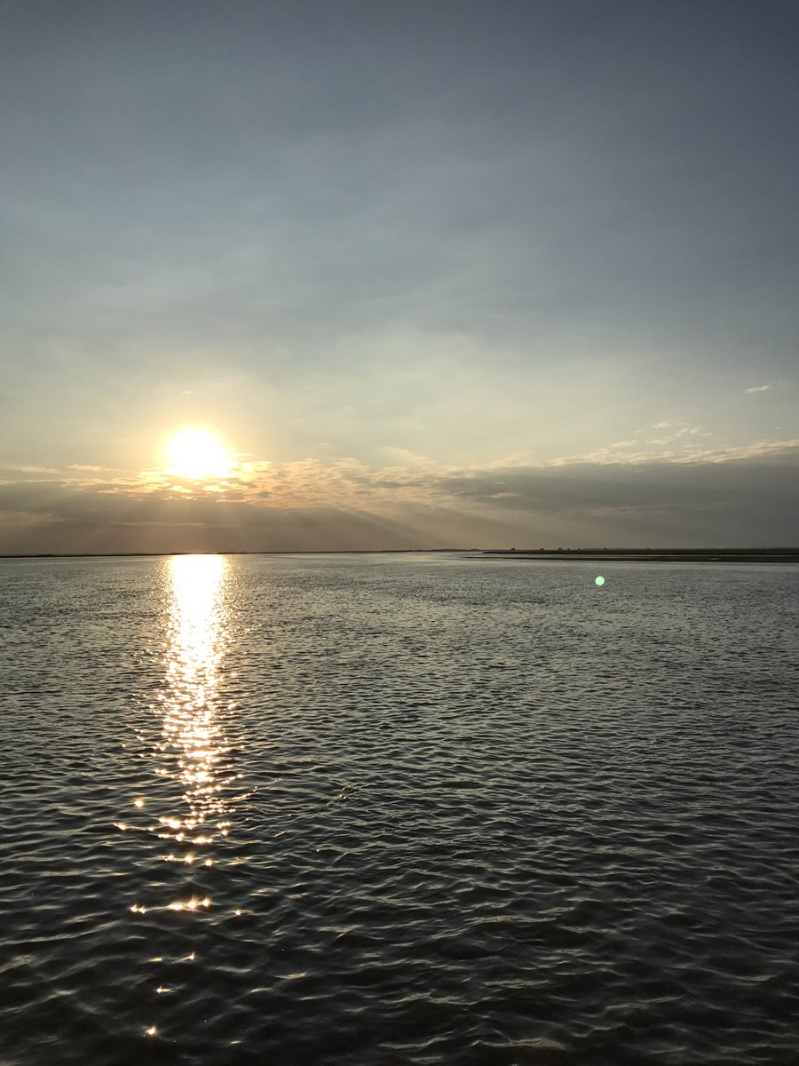 DiaMyers's tweet photo. And the day, full of love and hope, ends in beauty. Proud to be part of Friendswood ISD!! @friendswoodisd https://t.co/y8ixzrOwpE