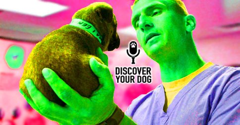 FamDogFusion's tweet photo. Episode 099: Dealing with your dog’s aggression is problematic, and especially so at the vet. Heres some tips!

https://t.co/8gedAgQak8 https://t.co/8IQZFt1Vwc