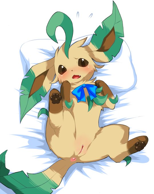 Leafeon on Twitter.