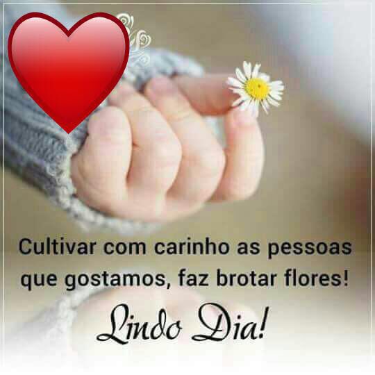 iraci josue #timbeta (@iraci_josue) on Twitter photo 