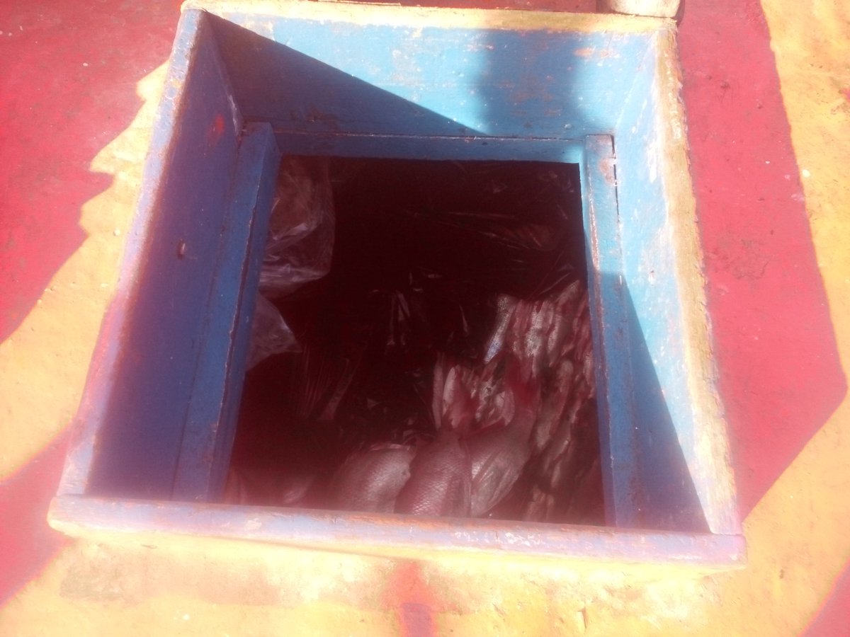 Búsqueda Falcon  detuvo a cuarteto con su embarcación " Huracán I"
<a href="/DouglasRicoVzla/">Douglas Rico</a> 
@Jesus25733