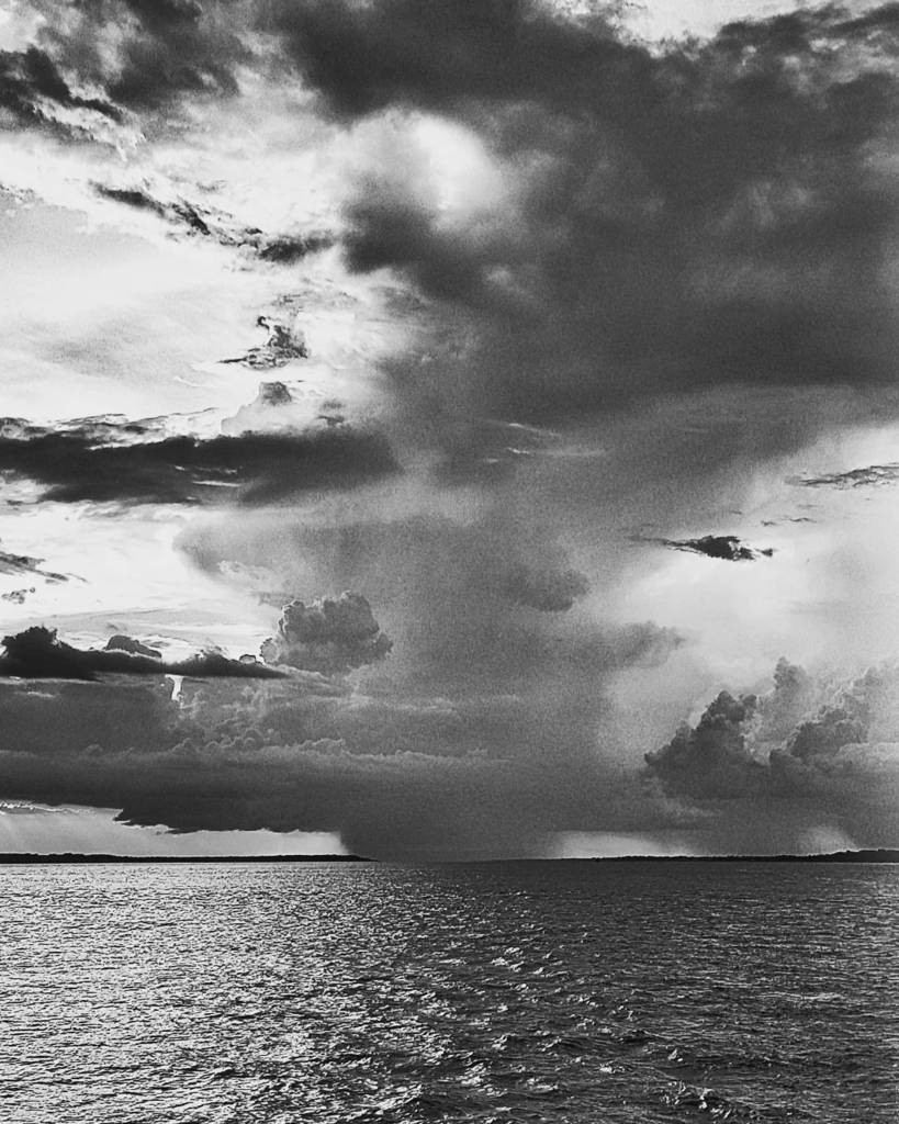 flaviosamelo's tweet photo. everyday rain deep in the middle of the Amazon forest 🌪🌫🌧
.
#riosolimoes #blackandwhitephotography #fotopb #cellphonephotography #fotodecel… https://t.co/sQvIEoEJnZ