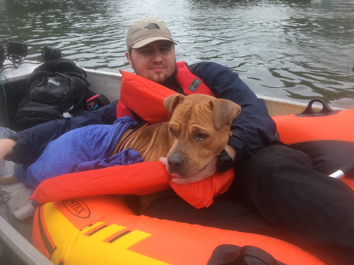 NoShoes_Rhett's tweet photo. today we saved 15 people from their homes completely underwater and 3 dogs. Much more work to get done tomorrow. https://t.co/9R7SWr2RRo