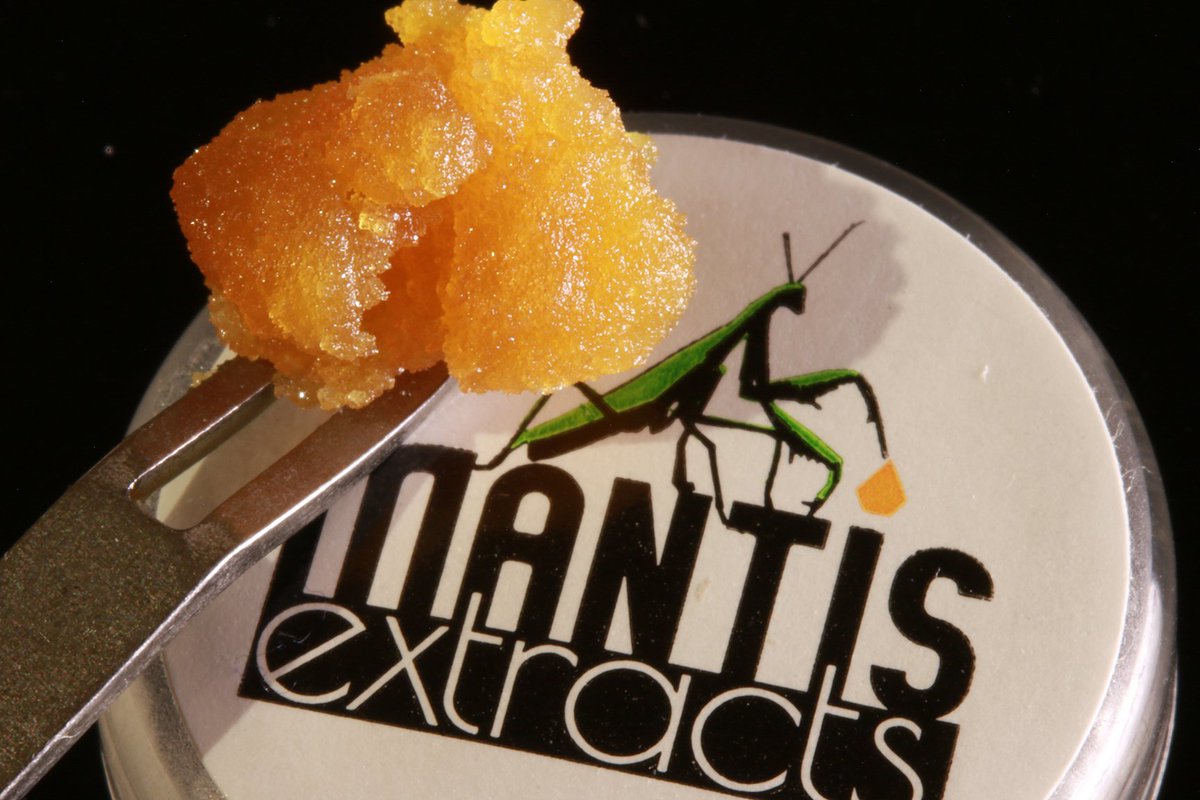 MantisExtracts's tweet photo. Happy #WaxWednesday ‼️ #NightmareCookies #mantisextracts❌skördmarijuana #terps #dabberdaily #dabs #mantisextracts https://t.co/1g47hBpUIT