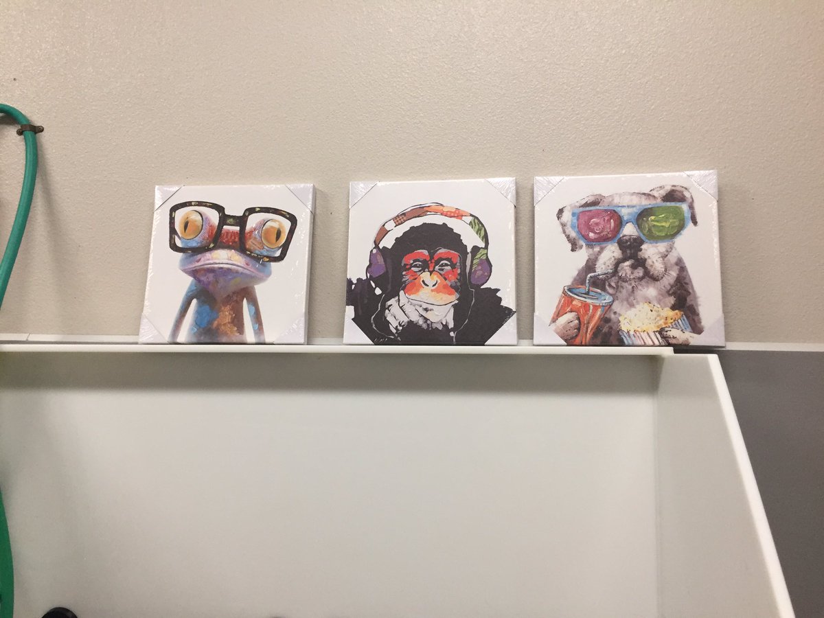 Notably_Nicole's tweet photo. New decor for work? I think yes! #alldogsunleashed #workvibes https://t.co/Eg1pwrfgsn