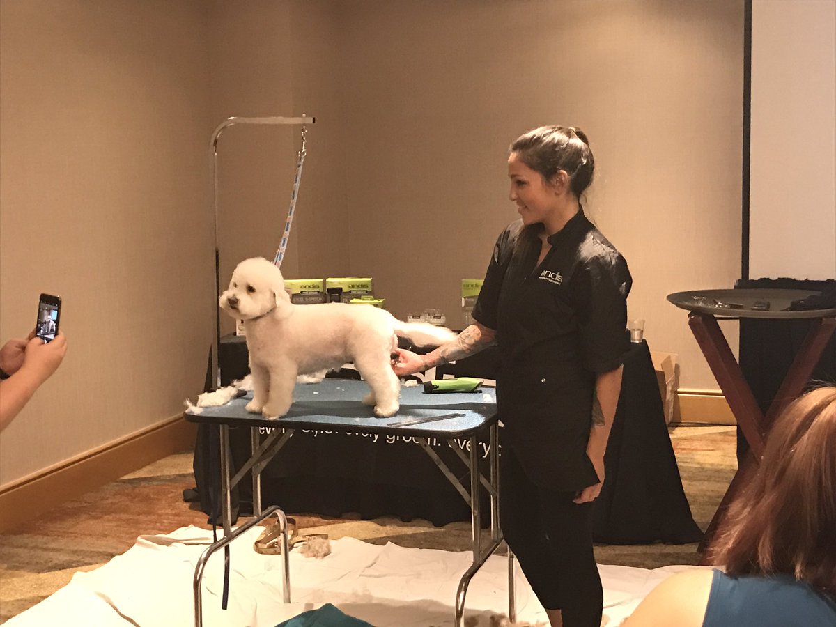 What a great opportunity to watch Mckennsey Murphy from groom team USA.
