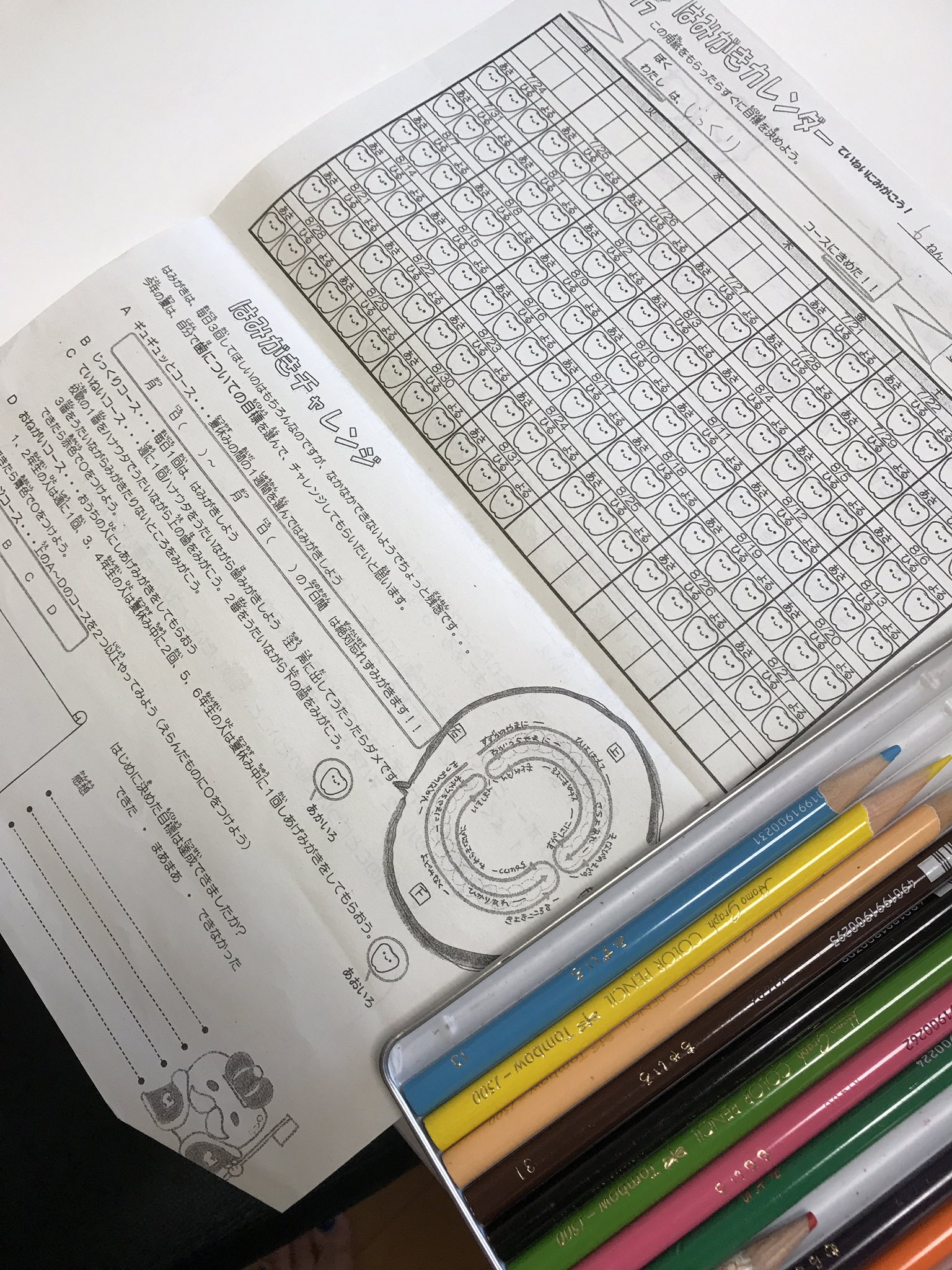 シュガー V Twitter 夏休みも今日で終わり それなのに 歯磨きカレンダー白紙やん ๑º ﾛ º๑ これからまとめて塗るらしい ਊ 効率的やろ と娘 親の顔が見たい あっ 私か E 夏休み最終日 歯磨きカレンダー 我が娘 小6女子
