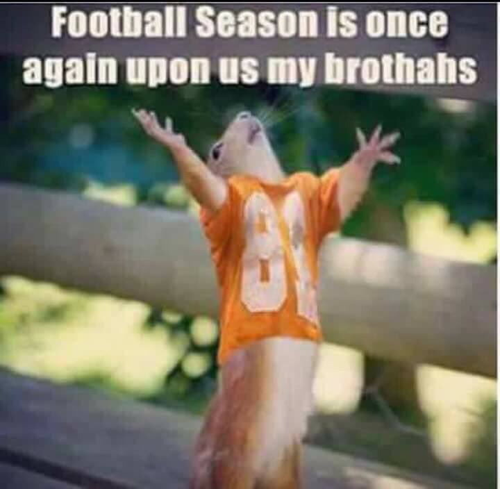 starr1511's tweet photo. It's ALMOST TIME!!! #GBO #VOLForLife #Football https://t.co/LqsK8KOmg5
