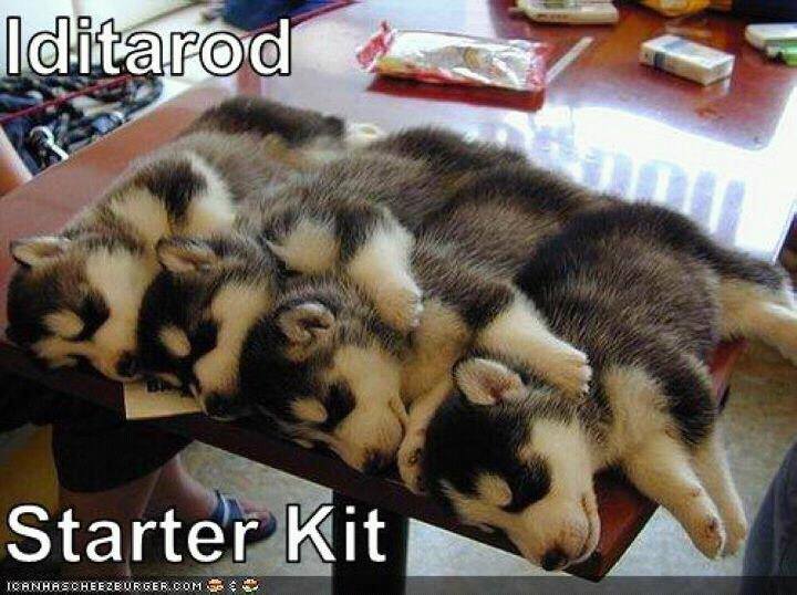 SICHL_huskies's tweet photo. Huskies deal two roster players for picks. https://t.co/oCC50vjZU0
#SICHL #huskies  #roomforkids https://t.co/H8q0sWiXHX