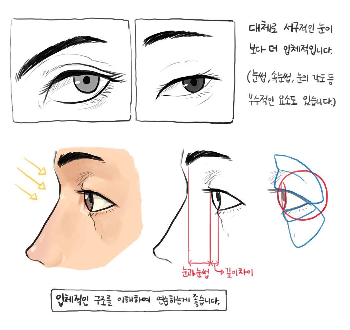 눈 그릴때 참고하세욤 