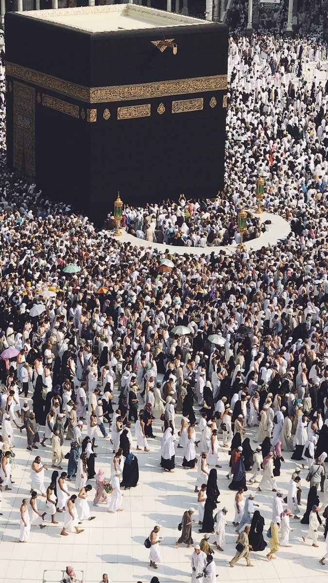 حياة |🌿 tweet media