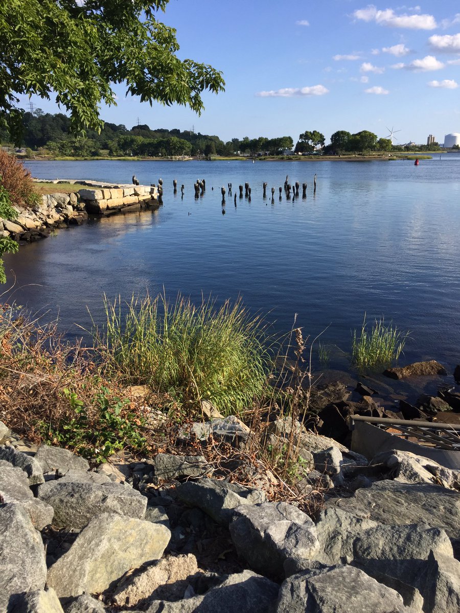 PhelpsAnnamarie's tweet photo. Amazing evening for a run in #ProvidenceRI & great to see another working city river in action #whatsthewaterlike #oncearower https://t.co/v6Cb5vw4Qj