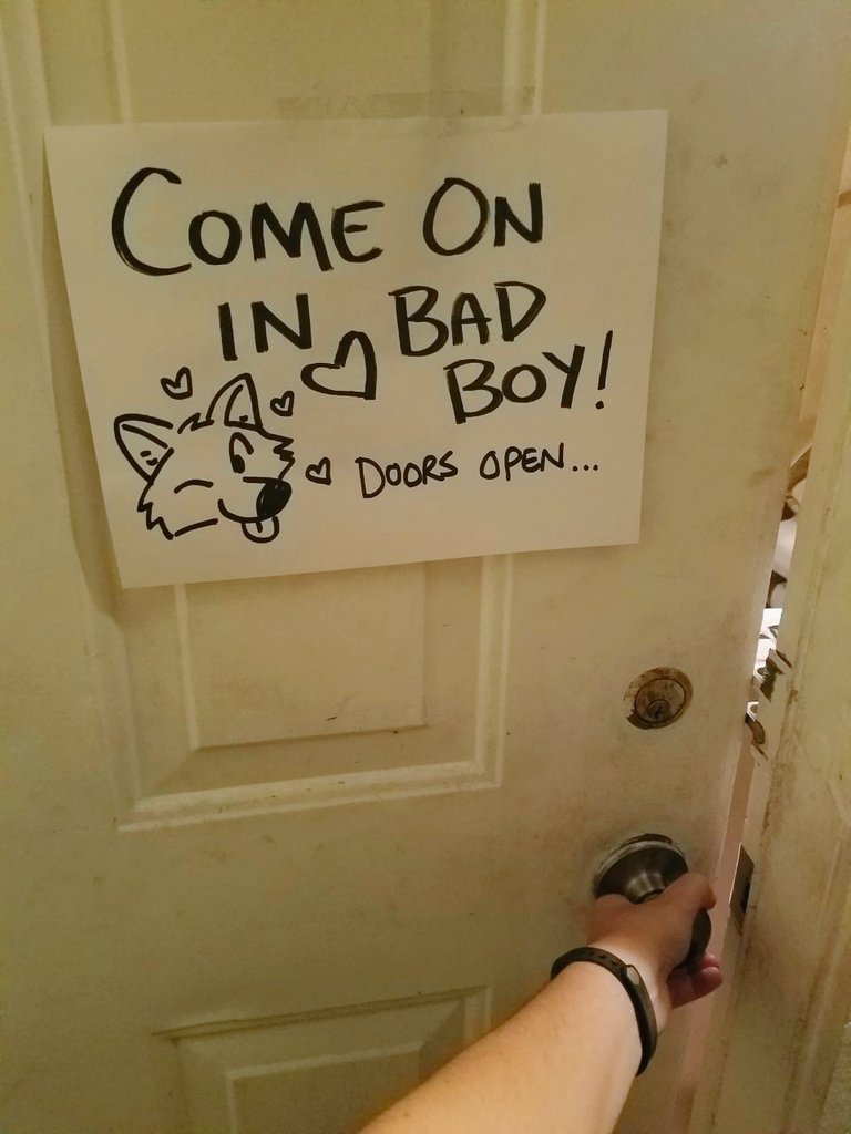 🌻Wolfbound 漬物🌿 tweet media