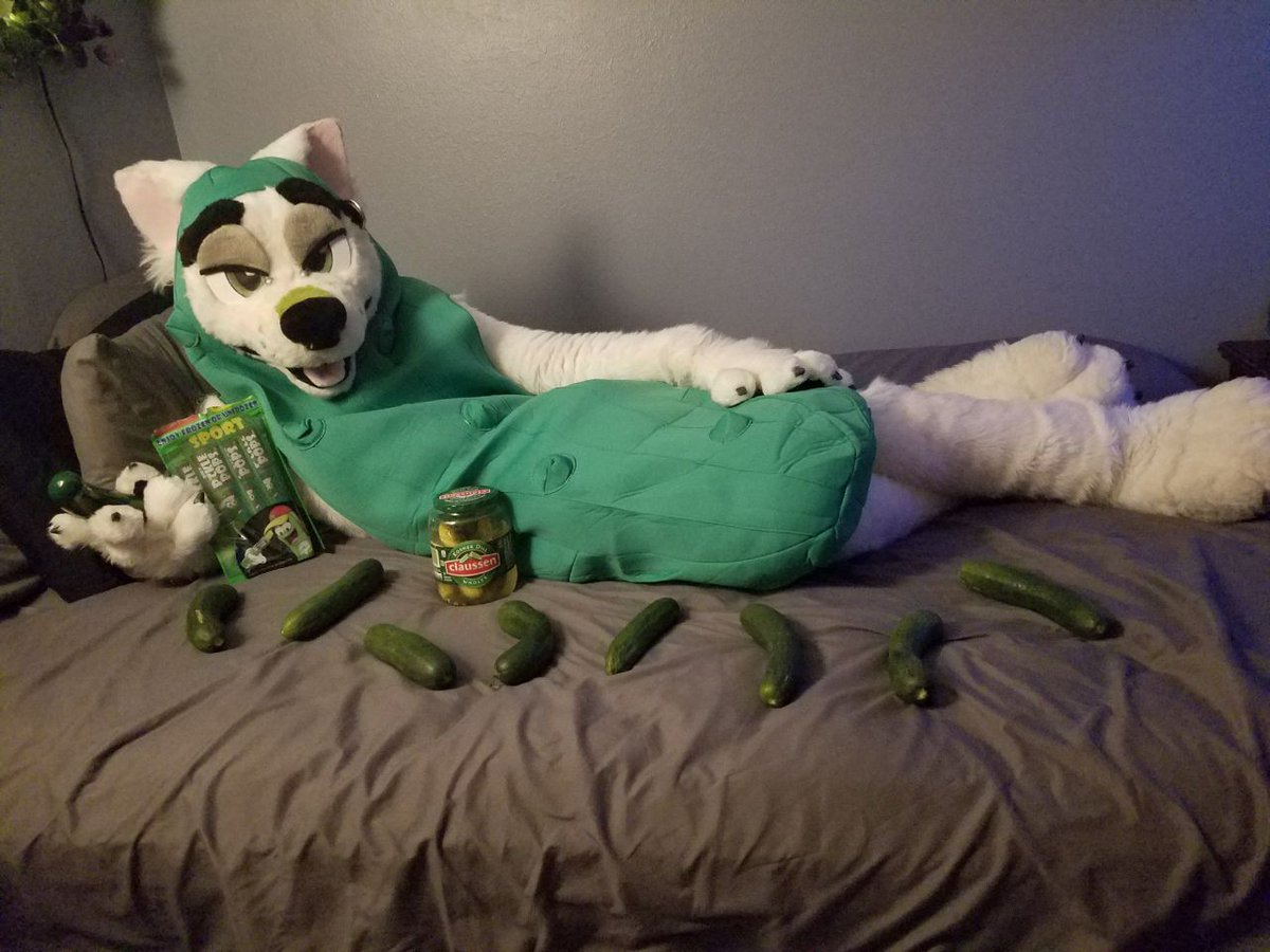 🌻Wolfbound 漬物🌿 tweet media