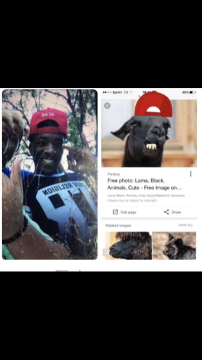 joshfig54's tweet photo. What y'all think🤔? RT if they look alike https://t.co/wqDwXjFNBm