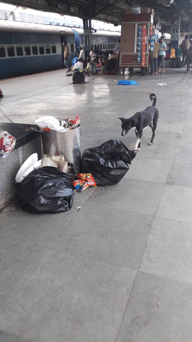 satishkrsharma2's tweet photo. @Central_Railway Dirty LTT station platforms today when all of India is undergoing Swachh Bharat https://t.co/Kn20vTlK5G